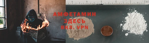 гидра Алексеевка