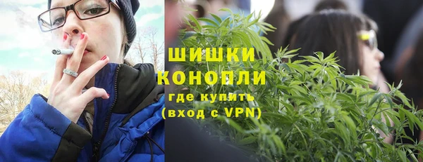 гидра Алексеевка