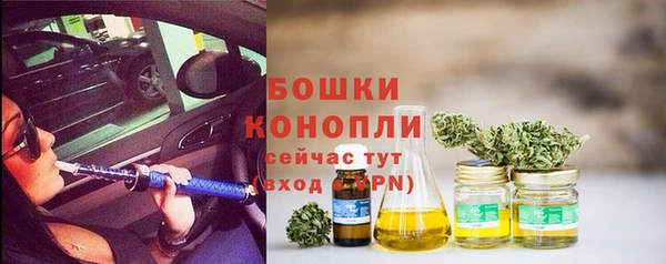 гидра Алексеевка