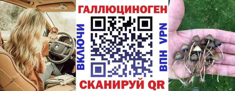 Псилоцибиновые грибы GOLDEN TEACHER Йошкар-Ола