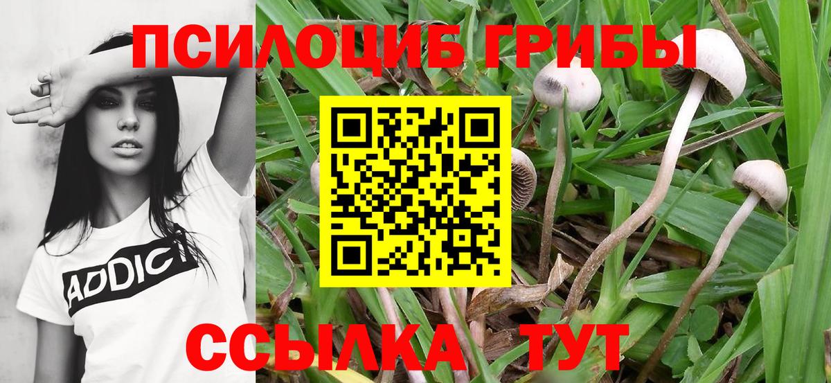 A-PVP Йошкар-Ола